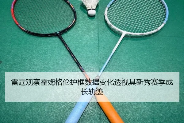 雷霆观察霍姆格伦护框数据变化透视其新秀赛季成长轨迹